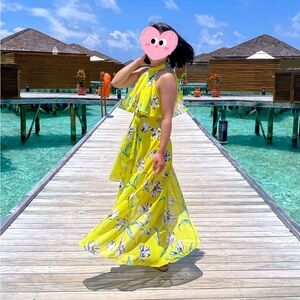 Eliza J Halter Neck Chiffon Maxi Dress, Size 2 Petite